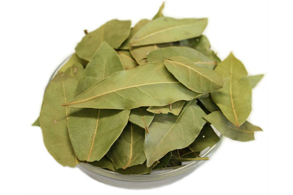 Dried_Laurel_Leaves