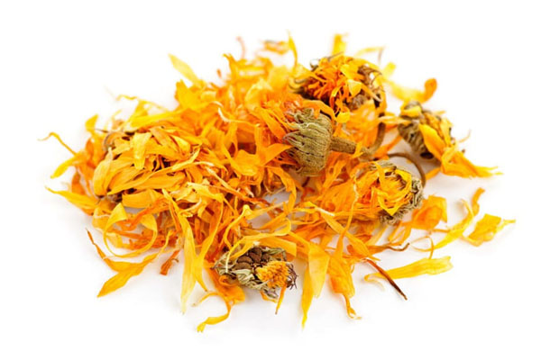 calendula