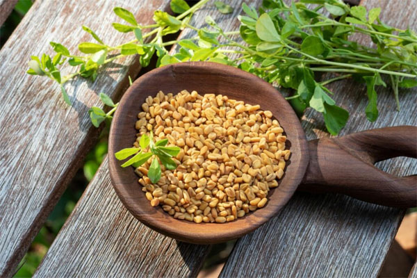 fenugreek-seeds-leaves-1024×683